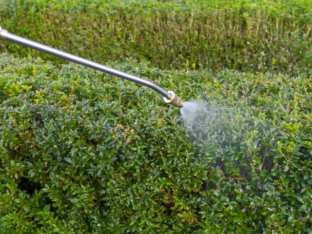 Batavia  MAXXPACK Pressure Sprayer 7.5 litre 18V Bare Unit - Image 6