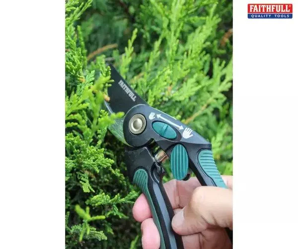 Faithfull Countryman Bypass Secateurs 215mm - Image 3