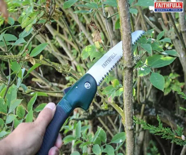 Faithfull Countryman Folding Pruning Saw 175mm (7in) - Image 2