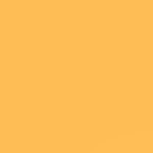 Lee Filter - 020