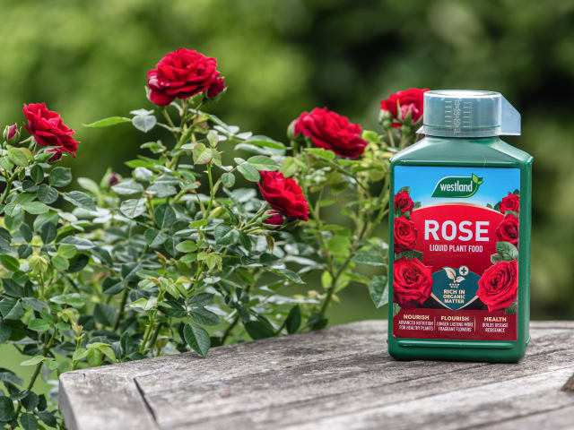 Westland Rose High Performance Liquid Plant Food 1 litre